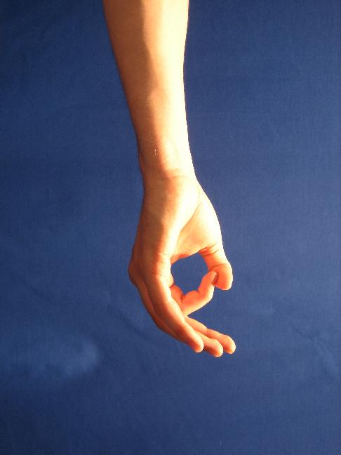 Photograph demonstrating light contact between the thumb and ring fingertip in Prithvi Mudra